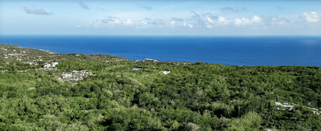 Инвестиционный отель нового поколения Sunny Wellness Spa Hotel: биохакинг как часть образа жизни 4 Инвестиционный отель нового поколения Sunny Wellness Spa Hotel: биохакинг как часть образа жизни 3