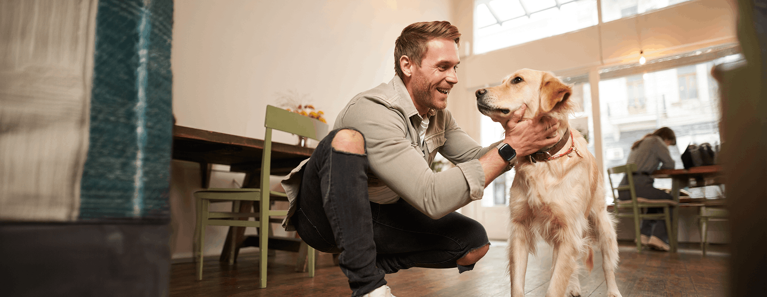 Pet-friendly виллы на Бали: тренд рынка