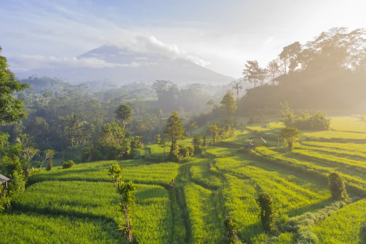 Real Estate Bali - Greening of the island and planting trees as a token of gratitude